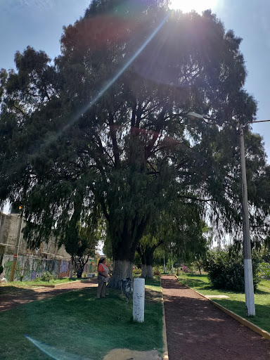PISTA JARDINES DE MORELOS ECATEPEC DE MORELOS - Thumbnail