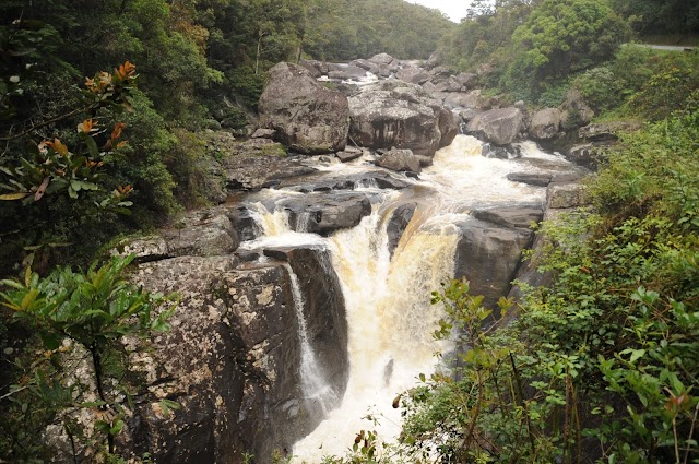 Parc national de Ranomafana