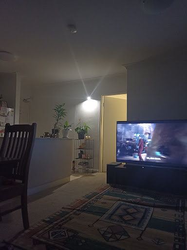 Nova Lights - Visual