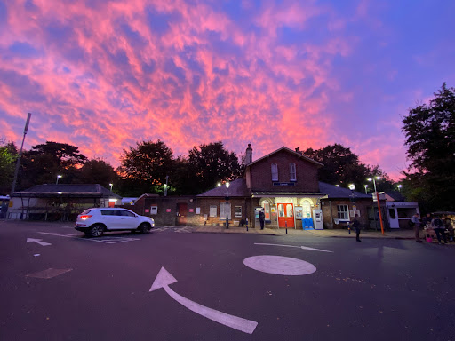 Liphook - Thumbnail