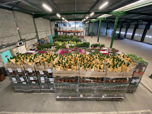 Photo n°3 de Donatrans à Vourles (Société de transport routier)