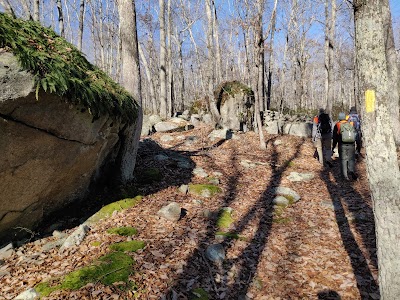 Audubon Long Pond Woods Wildlife Refuge - Secondary/RIDEM Trailhead