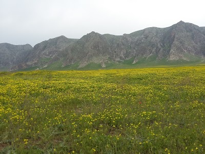 Photos of Pamyatnik Lenina