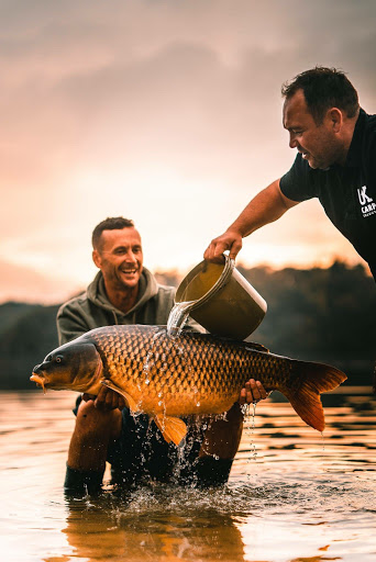 Carp Colours - Visual