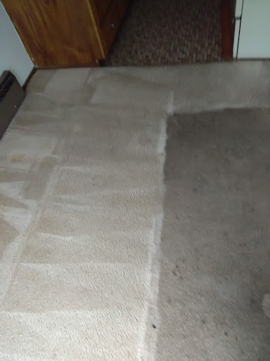 Bright Carpet - Visual