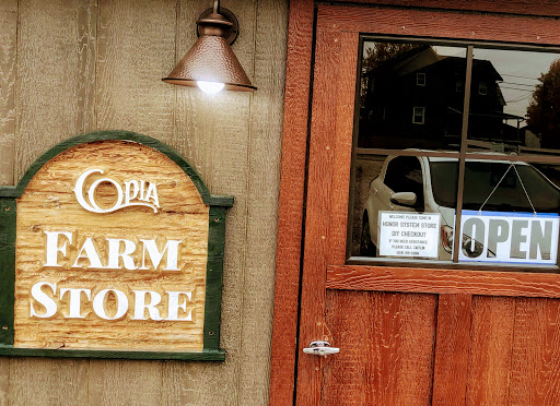 Copia Farm - Visual