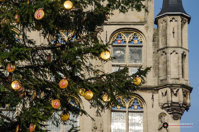 Goudse stadhuis