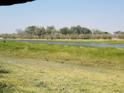 Photos of Belmond Khwai River Lodge