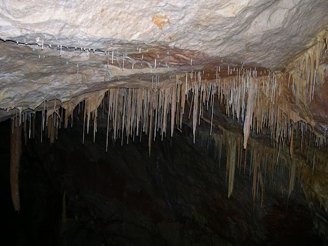 la Grotte de Dargilan