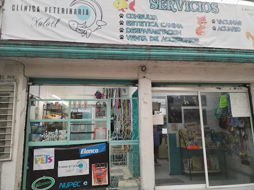 Veterinaria Xolotl