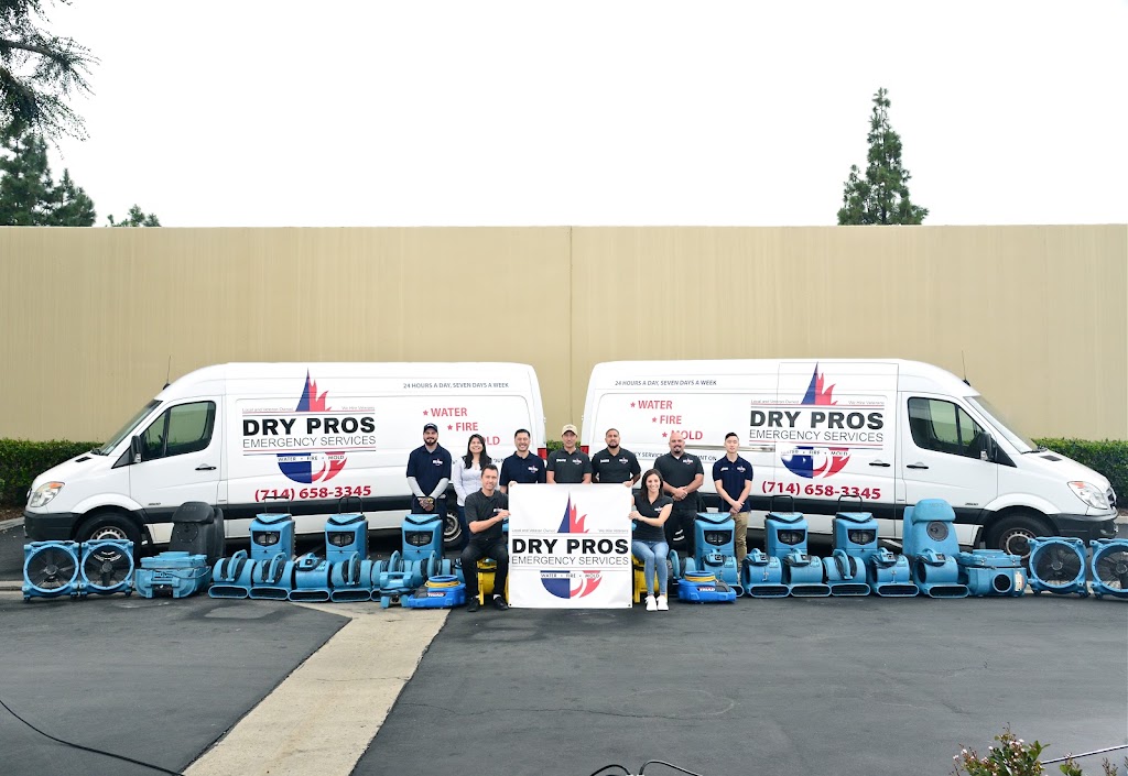Dry Pros Emergency Services photo