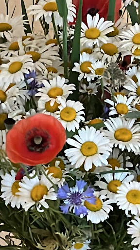Blumen - Faust - Visual