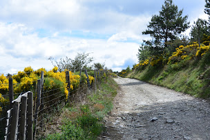 Photo n°15 de La Bastide de Tremiejols Chambres et Table d'hôtes de charme en Cévennes à Vialas (Restaurant)