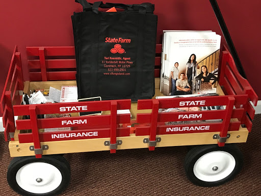 Ted Kosmidis - State Farm Insurance Agent - Thumbnail