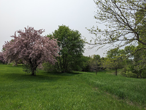 School Knoll Park - Thumbnail