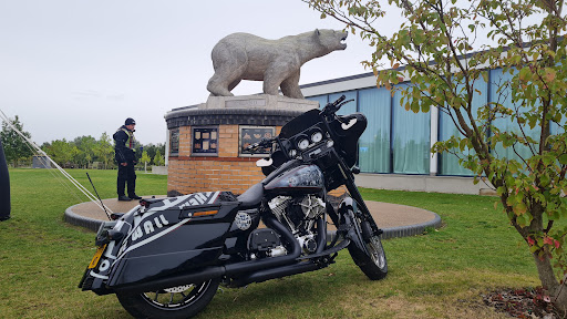 Polar Bear Memorial - Thumbnail