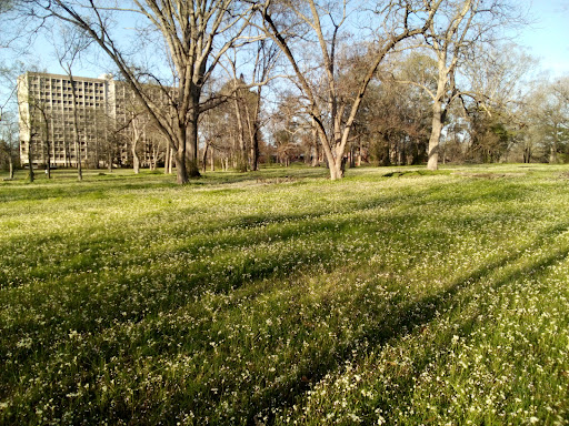 Claiborne Park