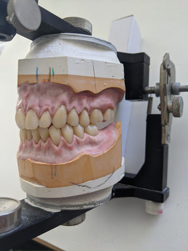 The Denture Care Group Sunshine Coast