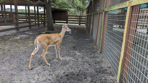 River Ranch Petting Farm Gallery - United States