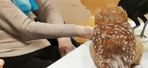 Photo de Ehpad associatif Adef Résidences la Maison du Laurier Noble à Saint-Denis (93200)