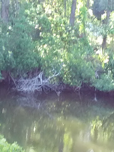 Charleston Area Visitors Center - Thumbnail