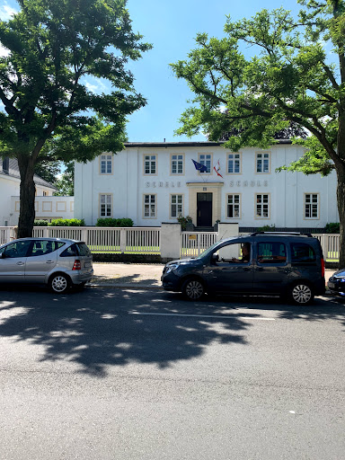 Schele-Schule - Visual