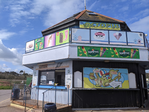 The Octopus - Visual