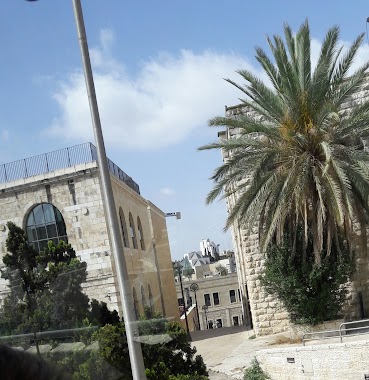 HaRav Tsvi Yehuda/Herzl Boulevard, Author: Tatyana Solonskaya