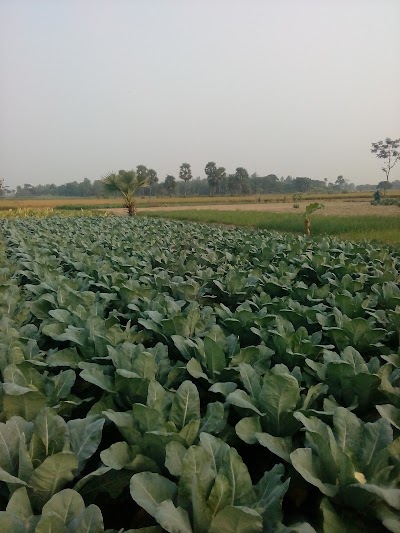 Photos of Vandarpur Bust Stop