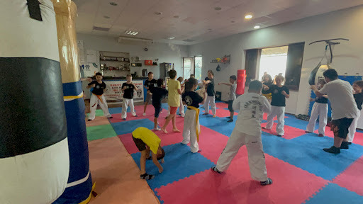 scuola di arti marziali team paone