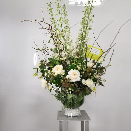 Austintatious Designs, LLC - Visual