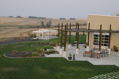 Lindsay Creek Vineyards