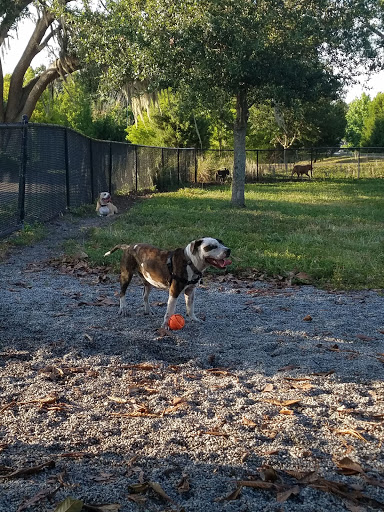 Dog Park & Bone Run - Thumbnail