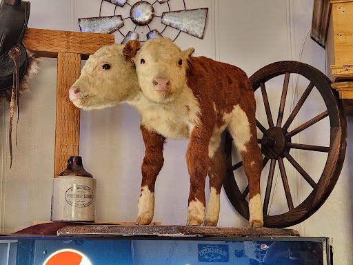 American Bar & Grill Gallery - United States