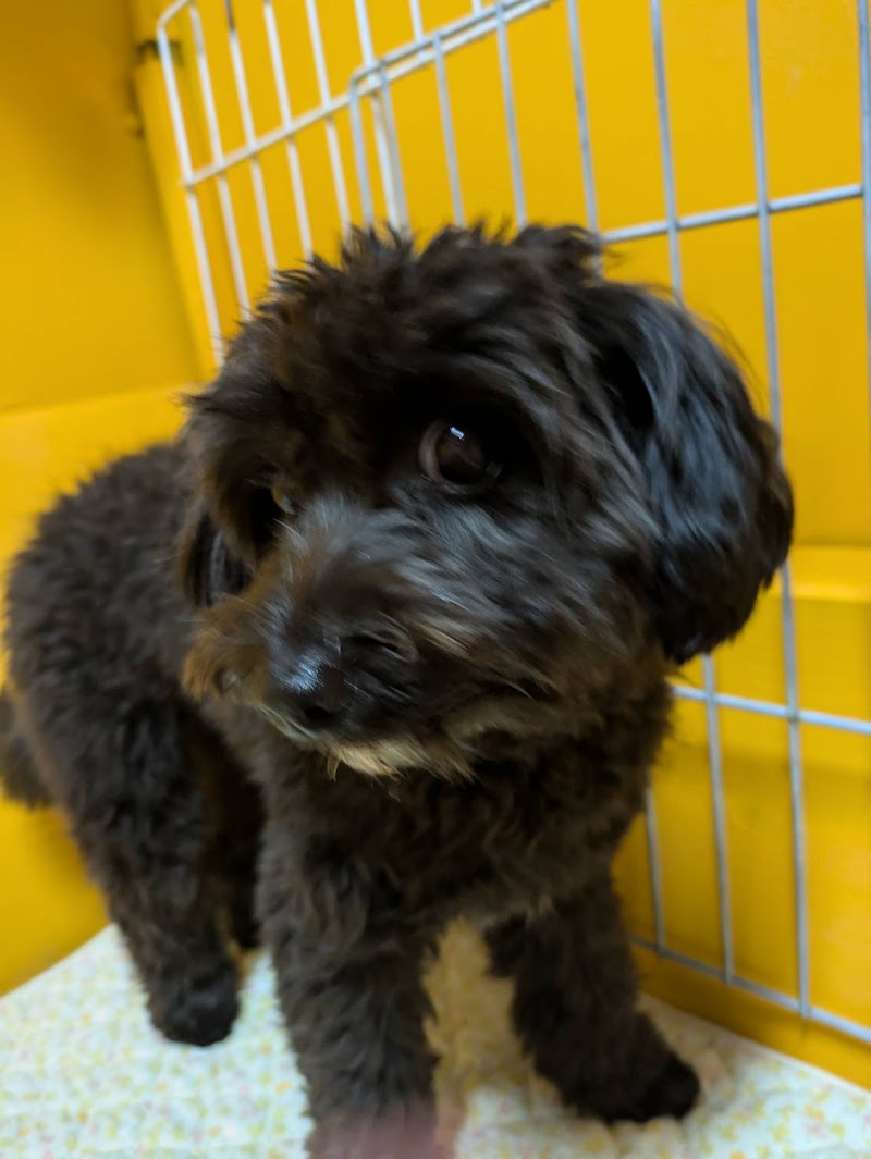 アニマルファームガーデン伯方