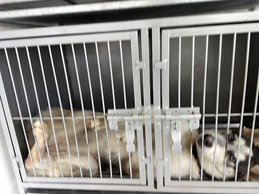Clínica Veterinaria Kan
