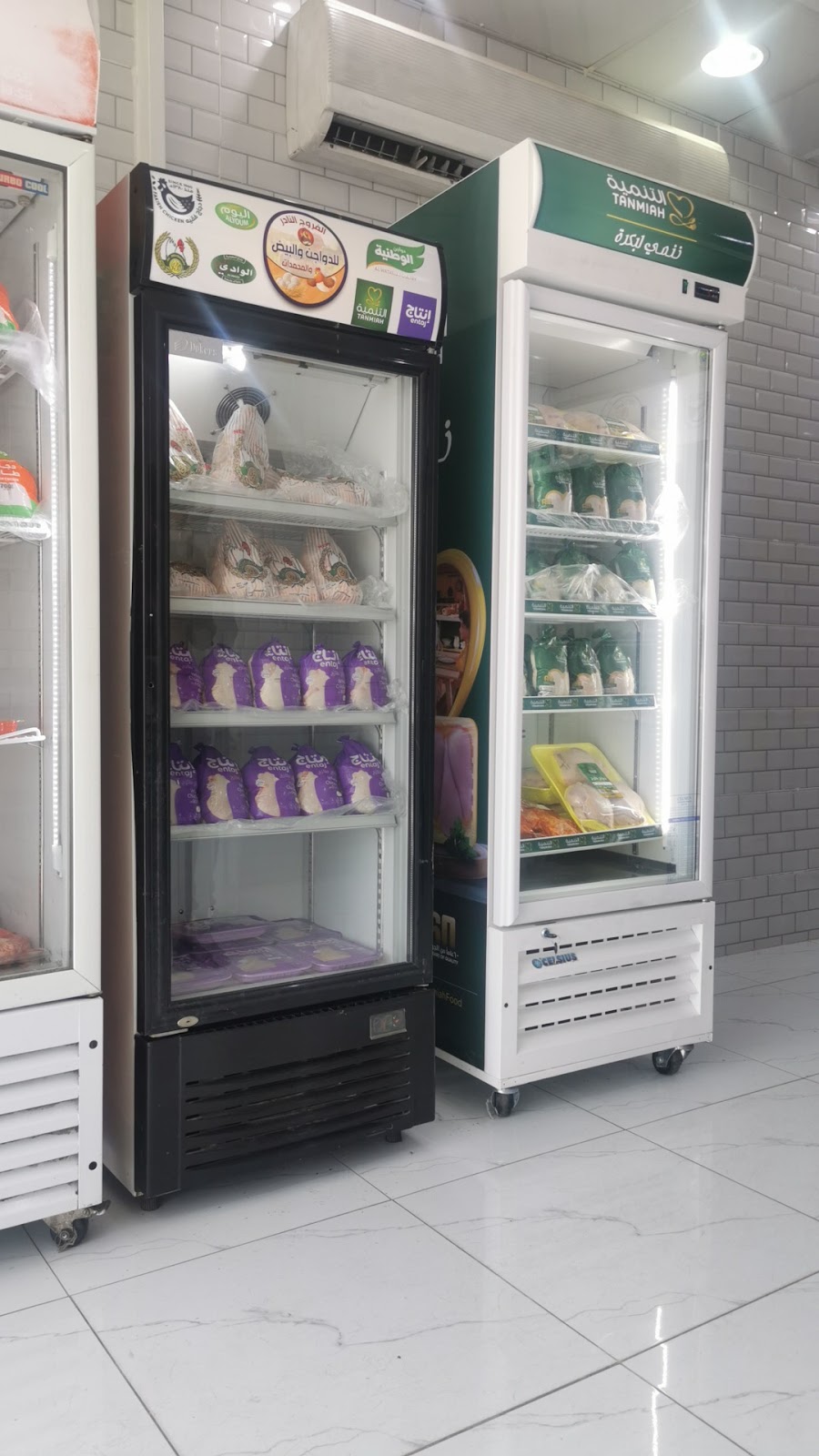 الفروج النادر للدواجن والبيض - صورة 2