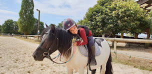 Photo n°7 de Haras Du Soleil à Semblançay (Pension pour chevaux)