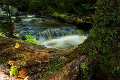 Mosquito Falls - Thumbnail