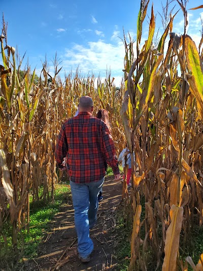 Cherry Place Farm