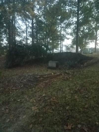 Louisiana State Seminary of Learning and Military Academy (The Old LSU Site)