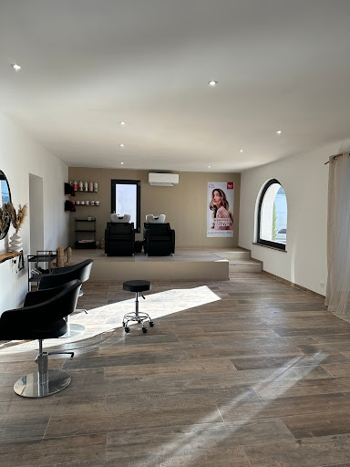 LDMsalon - Thumbnail