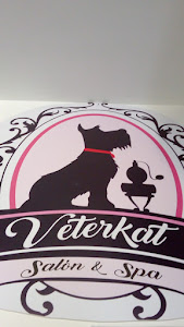 Veterinaria Veterkat 2