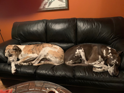 West Kelowna Veterinary Hospital - Thumbnail