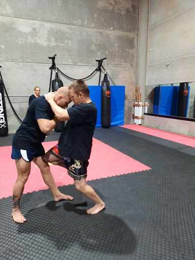 Yasashi Geijutsu - Thumbnail
