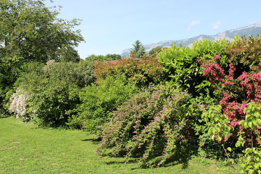 Photo de ISERE CLEAN PAYSAGISTE CONSEIL à Villard-Bonnot (38190)