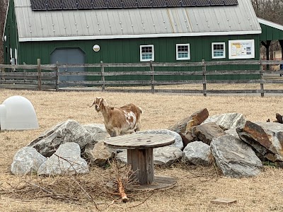 Kinder Farm Park