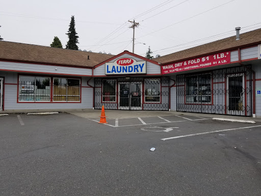 Terra Laundry - Visual
