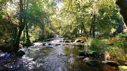Photo de Pisciculture du Moulin de Sabeau à Beynat (19190)