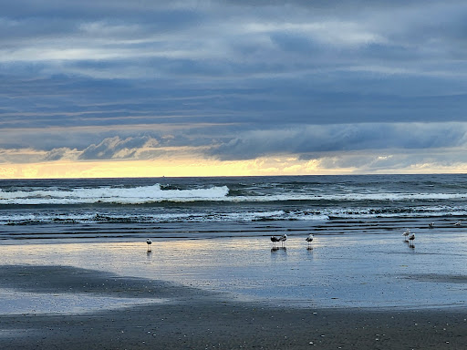 Grayland Beach - Visual